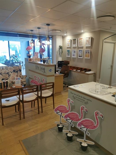 Flocked by pink flamingos