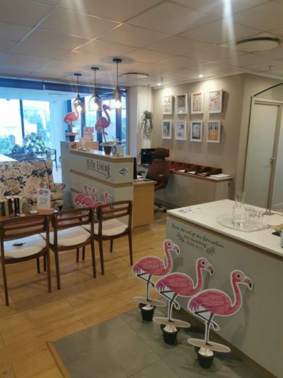 Flocked by pink flamingos