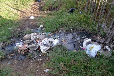 Filth a health hazard
