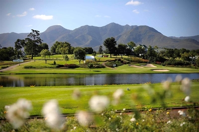 Top pros and sports stars gather at Fancourt