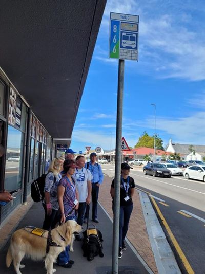 Go George accessibility for the blind put to test