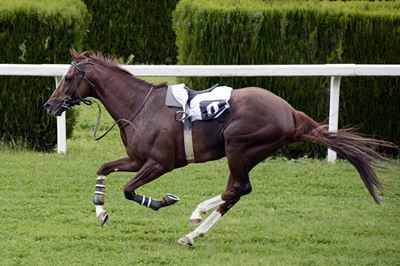 ‘I’m thrilled!’: Mary Slack’s win changes her mind about Durban July