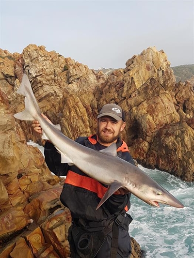 Stilbaai-hengel die beste
