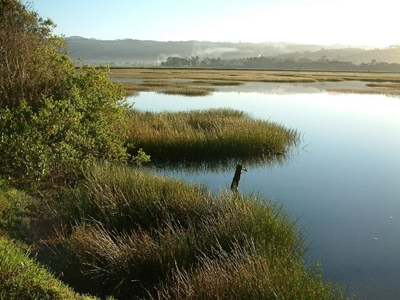 Saving our land: the importance of wetlands