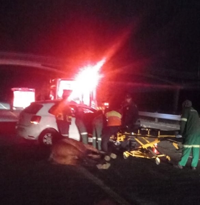Another loose horse causes serious crash on N2, George