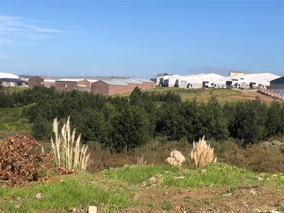 Calling private landowners to clear pampas grass