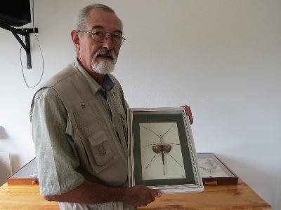 Insekte is baie meer as net goggas