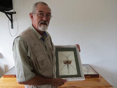 Insekte is baie meer as net goggas