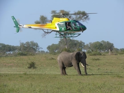 No hot-air balloons in Kruger Park’s new plan