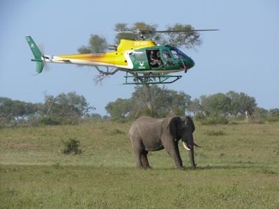 No hot-air balloons in Kruger Park’s new plan