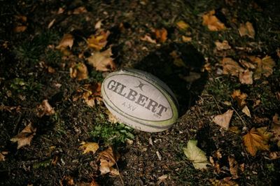 Why Nienaber ditched the Bok ‘bomb squad’ for first Wallabies Test