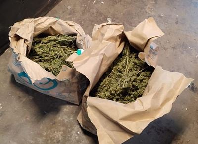Bail after dagga bust