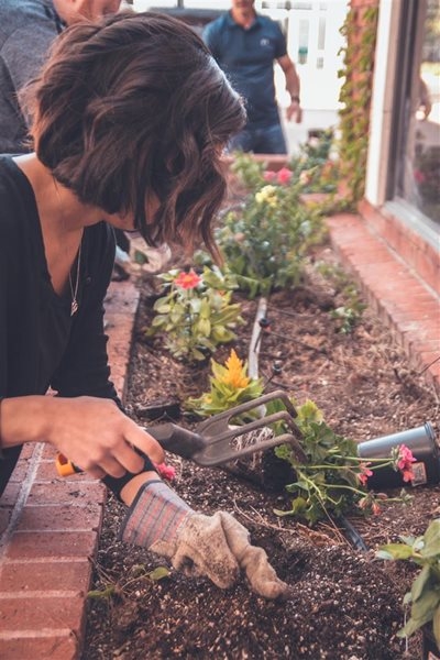 Gardening tips that will save some money