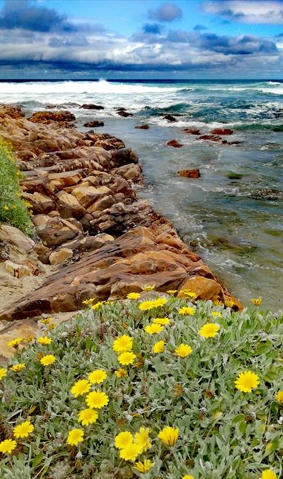 Celebrating beauty of nature