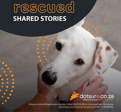 TAILS OF DOTSURE LIMITED PET RESCUES