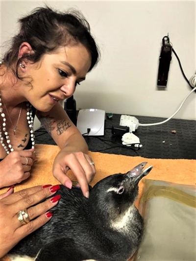 Nail artist to rescue