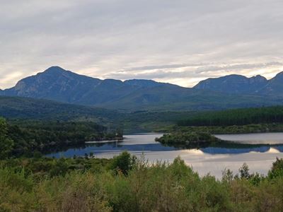 Garden Route Dam level update