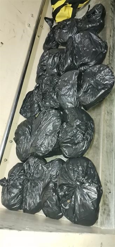 Nogga big dagga bust