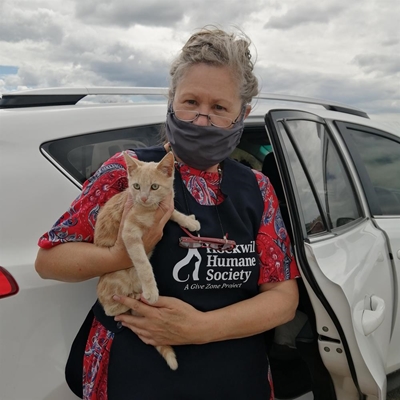 Touwsranten pets treated by animal lovers