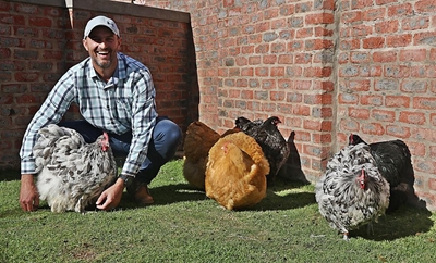 Danie se Orpingtons pronk by Wes-Kaapse pluimveeskou