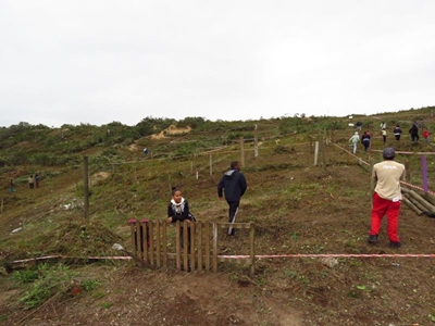 Sedgefield housing issues