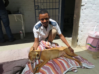 Second Spayathon sponsored by CSI