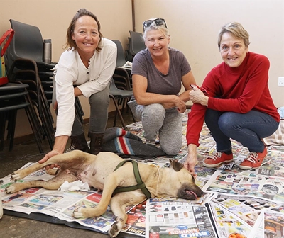 150 pets sterilised in Riversdale