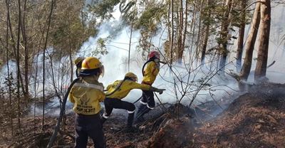 WoF firefighters deployed to Canada