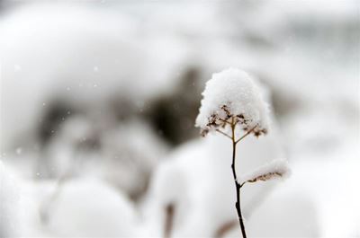 Winter weather: Snow and rain expected on Monday