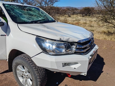 Koedoekalf spring voor bakkie in