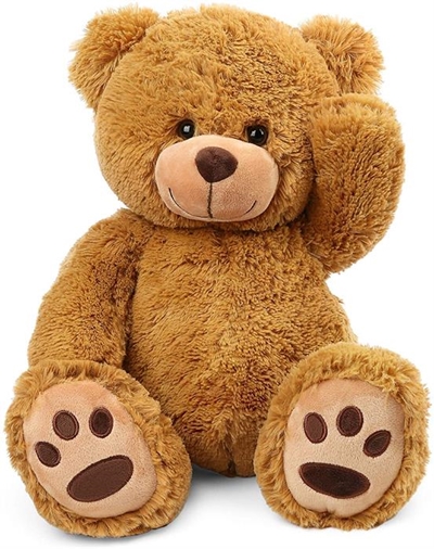 Teddies vir Turkye-uitdaging