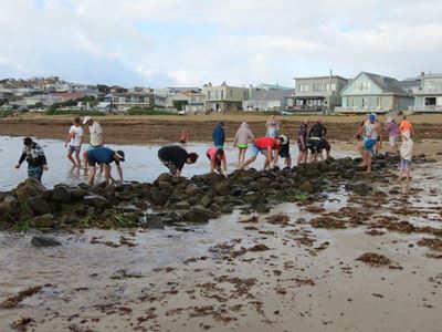 Visvywers in Stilbaai herstel