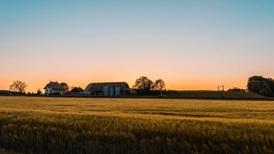 What does 'unused' land entail, asks TLU SA
