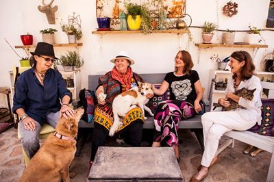 Art auction in aid of animal sterilisation