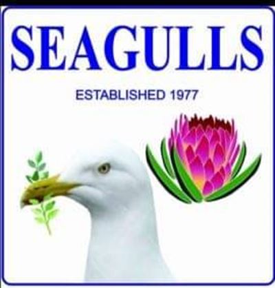 Seagulls soek jou by die veld