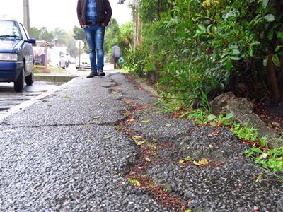 How to walk in Knysna – or wade