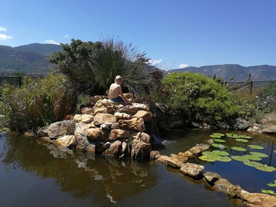 Open Gardens a cure for lockdown blues