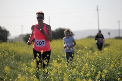 Summersday welcomed farm runners