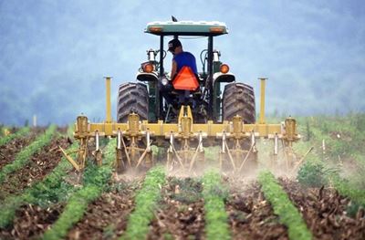 Eastern Cape rolls out major support for farmers, textile enterprises