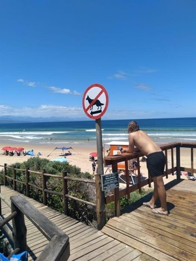 Confusing doggy beach signs are now making more sense