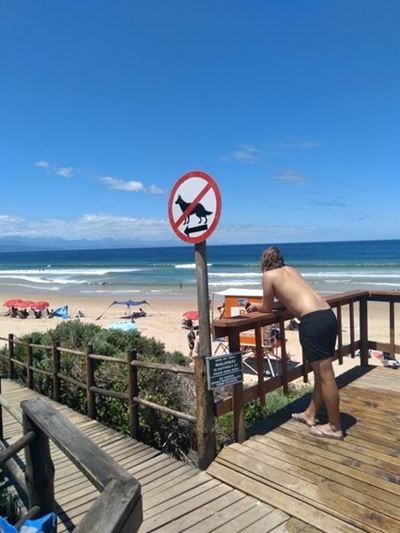Confusing doggy beach signs are now making more sense