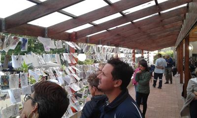 Wilderness Art Festival a creative delight