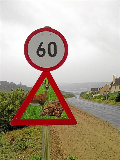 8 Tips for a safe road trip