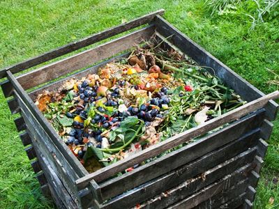 Household composting pilot project rolled out in Sedgefield