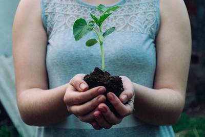 Tackling climate change and biodiversity loss