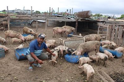Chopinstraat se mense knyp hul neuse toe in die somer