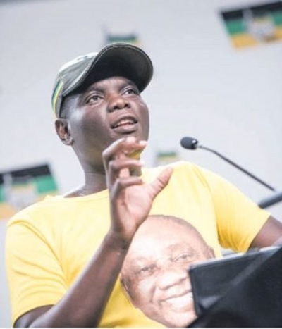 ANC says it’s not relying on land expropriation to win elections