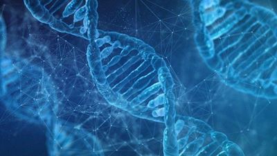 Parliament fully behind ‘overdue’ DNA Bill