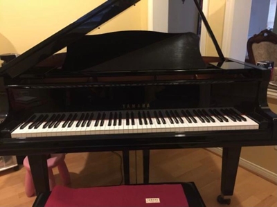 Watch out for piano scammer