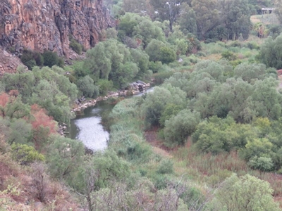 Teenager drowns in pond